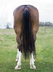 Similar image 8043808