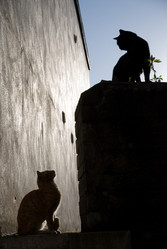 Similar image 8043810