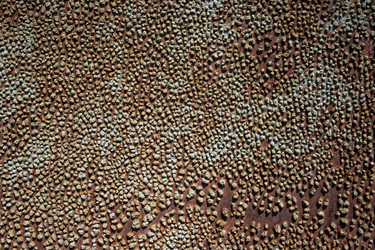 Similar image 8043813