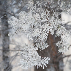 Similar image 8043814