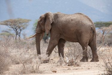 Similar image 8043817