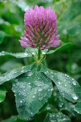 Similar image 8043821