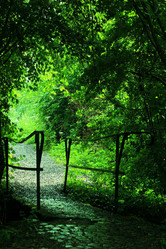 Similar image 8043828