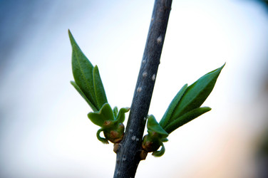 Similar image 8043829