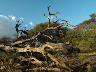 Similar image 8043832