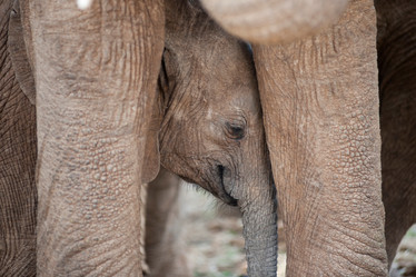 Similar image 8043836