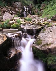 Similar image 8043837