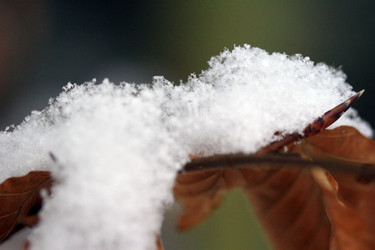 Similar image 8043847