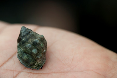 Similar image 8043848