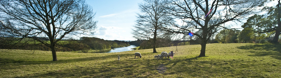 Similar image 8043858