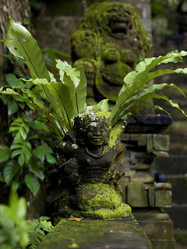 Similar image 8043862