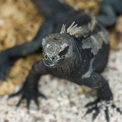 Similar image 8043869