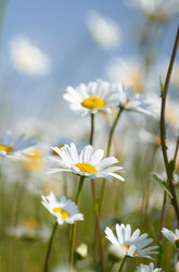 Similar image 8043871