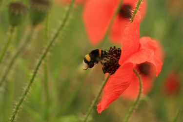 Similar image 8043901