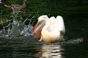 Similar image 8043904