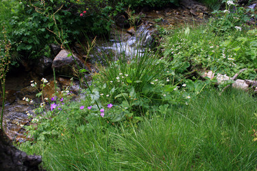 Similar image 8043917