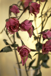 Similar image 8043918