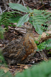 Similar image 8043920