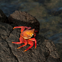 Similar image 8043923