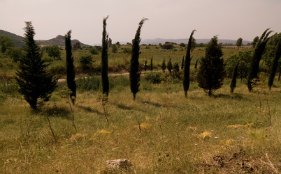 Similar image 8043924