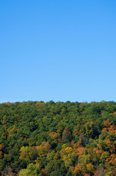 Similar image 8043926