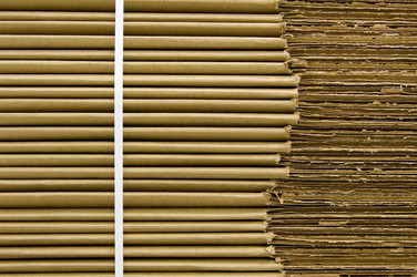 Similar image 8043929