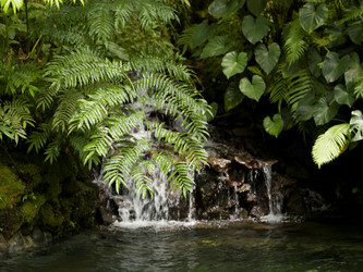 Similar image 8043932