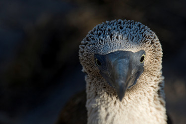 Similar image 8043942