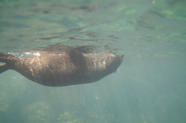 Similar image 8043943