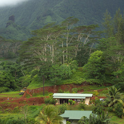 Similar image 8043945