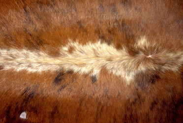 Similar image 8043948