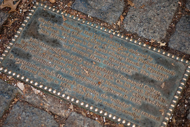 Similar image 8043956