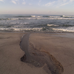 Similar image 8043959