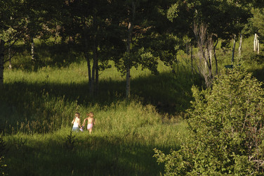 Similar image 8043961