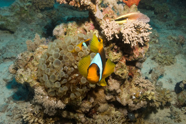 Similar image 8043962