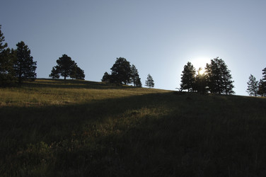 Similar image 8043970