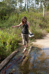 Similar image 8043974