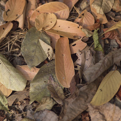 Similar image 8043976