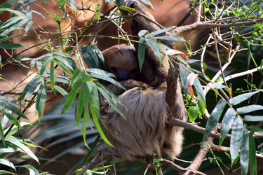 Similar image 8043980