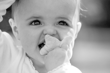 Similar image 8043983