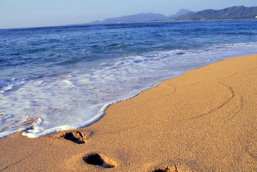 Similar image 8043984