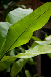 Similar image 8043987