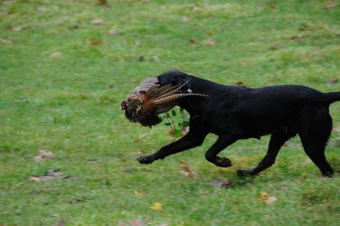 Similar image 8043991