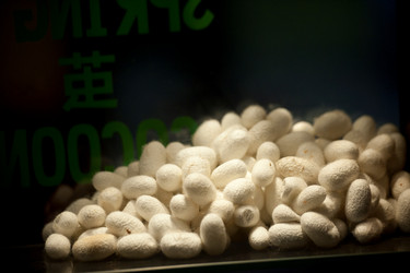 Similar image 8044000