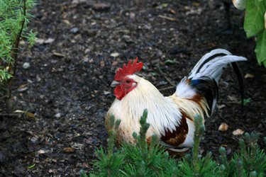 Similar image 8044008