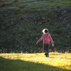 Similar image 8044012