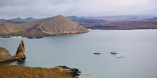 Similar image 8044013