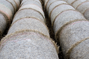 Similar image 8044015