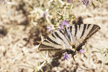 Similar image 8044092