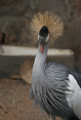 Similar image 8044100